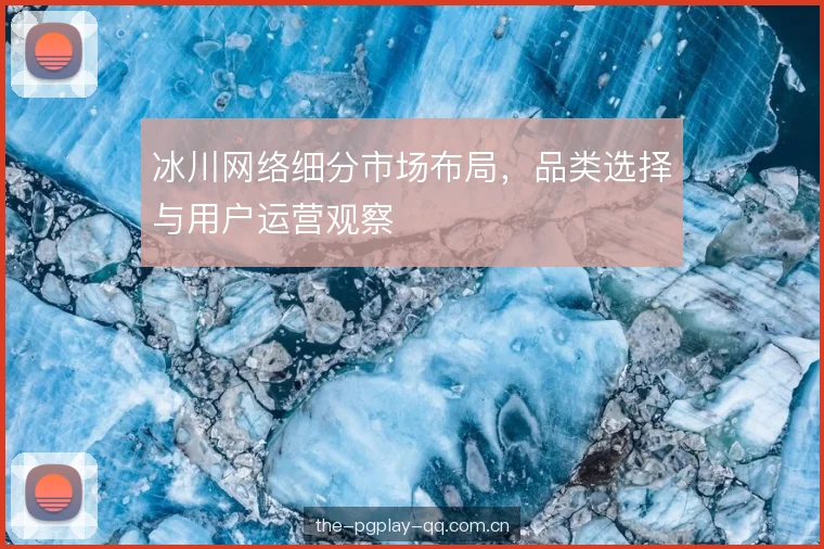冰川网络细分市场布局，品类选择与用户运营观察
